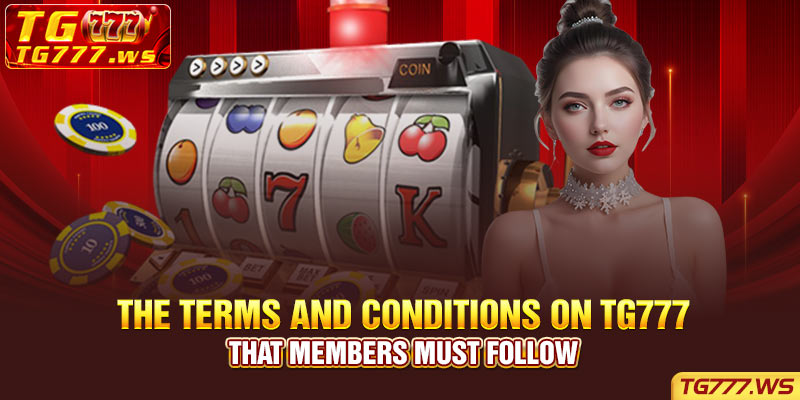 The Terms and Conditions on TG777 That Members Must Follow
